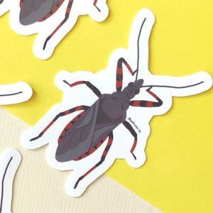 May include: Four white stickers featuring a black and red illustration of an assassin bug. The bug has a long, thin body with a large head and long legs. The stickers are on a yellow and beige background.