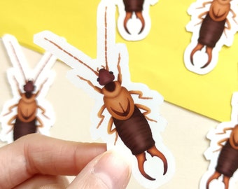 Stickers with earwig - stickers for entomologists and insect nerds