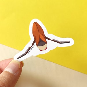 May include: A brown and orange insect sticker with a white outline. The insect is upside down with its legs spread out.