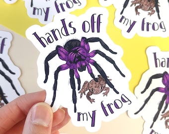 Sticker "hands off my frogs" with Tarantula and frog, tarantula stickers, spider vinyl stickers