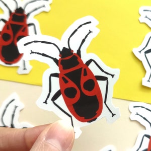 Sticker with fire bug - red firebug - stickers for entomologists and insect nerds