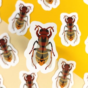 Coole vinylstickers met een echt horzelmotief - Vespa Crabro-design