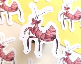 Vinyl stickers with praying mantis, mantis stickers, orchid mantis - entomology stickers