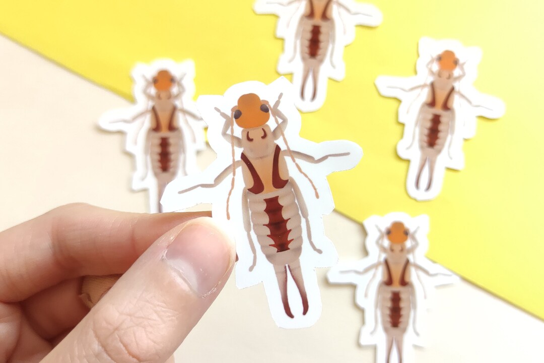 Sticker With Sand Earwig - Sticker for Entomologists and Insect Nerds ...