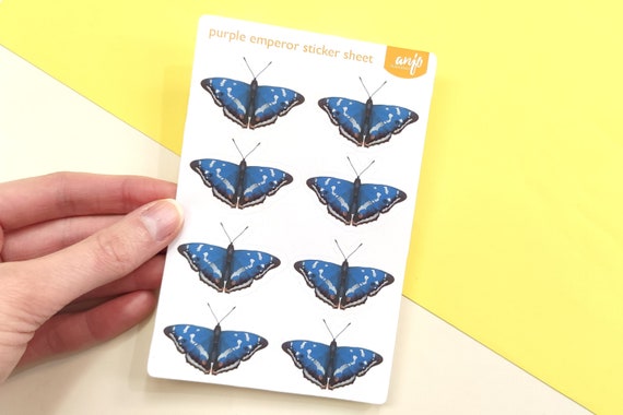 Blue and yellow butterfly - Butterflies - Sticker