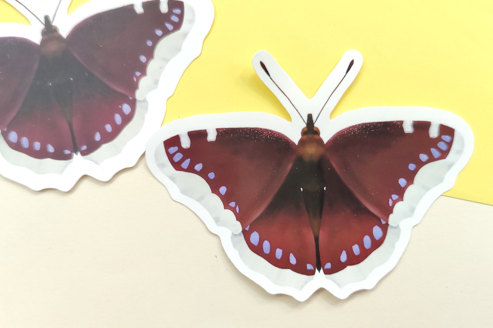 Autocollant Mural Papillon Blanc - Décoration Vinyle élégante Et Naturelle Pour Meuble Ou Mur - Y7-1.205