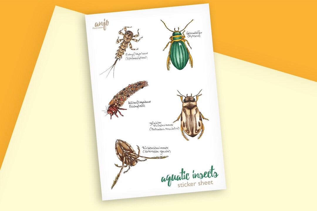 Sticker Sheet With Aquatic Insects, Water Insects Drawn in Watercolor ...
