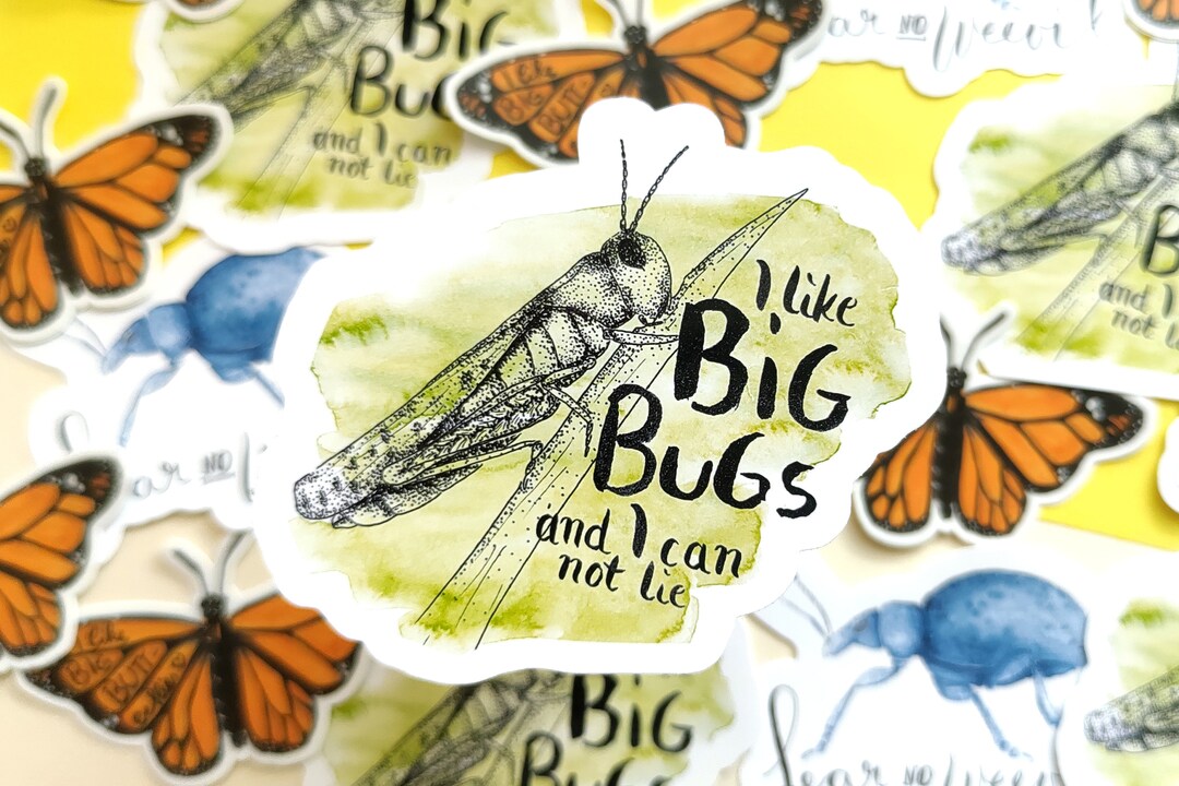 Insect Nerd Sticker Bundle: Set of 3 Insect Stickers With Jokes, Funny ...