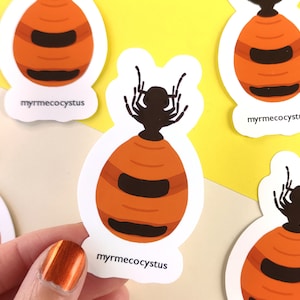 Honey pot Ant Sticker, insect vinyl sticker for ant lover, honeypotant
