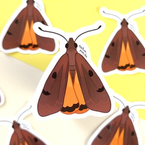 May include: A set of six brown and orange moth stickers with the text "Noctua Pronuba" on one of the stickers.