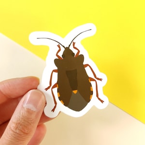 昆虫、カメムシのスタンプ、昆虫学者や科学オタクのためのスタンプ