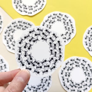 Sticker mit Ameisen für Insektennerd, Ameisen Aufkleber, Vinyl Sticker Insekt