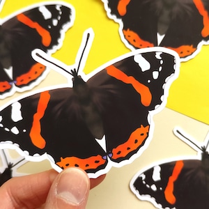 Sticker with butterfly, red admiral butterfly - Vinyl sticker with a matte finish