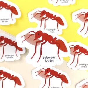 Ant sticker, insect vinyl sticker for ant lover