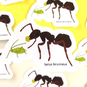 Black Ant and Aphid sticker, insect vinyl sticker for ant lover