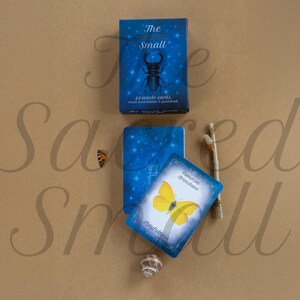 Puede incluir: Un mazo de 44 cartas or&aacute;culo titulado The Sacred Small, con una caja azul que muestra una ilustraci&oacute;n de un escarabajo. Una carta presenta una mariposa limonera amarilla con la palabra Playfulness. Incluye una peque&ntilde;a concha y una ramita.