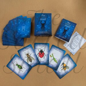 Puede incluir: Un mazo de 44 cartas or&aacute;culo titulado The Sacred Small, que incluye una caja azul y una gu&iacute;a con la ilustraci&oacute;n de un escarabajo. El conjunto contiene un mont&oacute;n de cartas azules y varias cartas individuales con insectos como mariquitas y abejas.