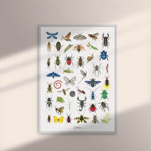 Puede incluir: Una lámina de pared enmarcada que presenta una cuadrícula de varios insectos, arañas y caracoles coloridos sobre un fondo blanco. La colección incluye ilustraciones detalladas de escarabajos, mariposas, polillas y un escorpión, con la palabra Dandelion abajo.