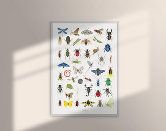 May include: A framed wall print featuring a grid of various colorful insects, spiders, and snails on a white background. The collection includes detailed illustrations of beetles, butterflies, moths, and a scorpion, with the word Dandelion at the bottom.