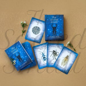 Puede incluir: La baraja de cartas or&aacute;culo The Sacred Small incluye una caja azul, una gu&iacute;a y varias cartas con ilustraciones de insectos y ar&aacute;cnidos como una cochinilla, un escarabajo longicornio, una ara&ntilde;a saltarina y una cigarra, con peque&ntilde;as flores blancas.