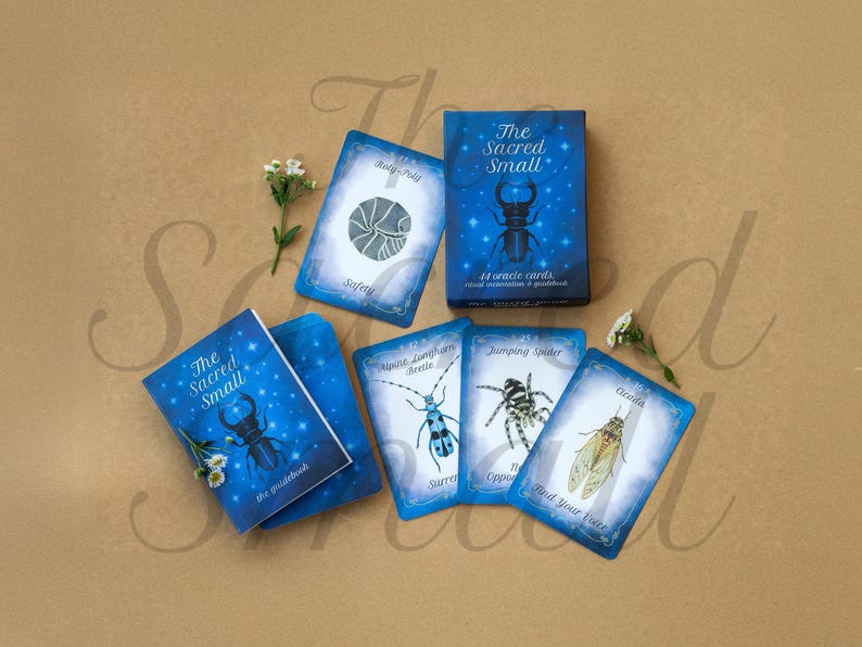 Puede incluir: La baraja de cartas or&aacute;culo The Sacred Small incluye una caja azul, una gu&iacute;a y varias cartas con ilustraciones de insectos y ar&aacute;cnidos como una cochinilla, un escarabajo longicornio, una ara&ntilde;a saltarina y una cigarra, con peque&ntilde;as flores blancas.