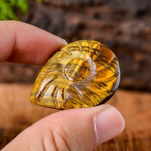 42Cts Tiger Eye Carved Cabochon, Tiger Eye Pear Shape Cabochon Gemstone, Loose Gemstone for Jewelry, Approx 35x27x7mm