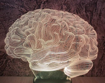 Brain Led Lamp, night lamp, color changing lamp