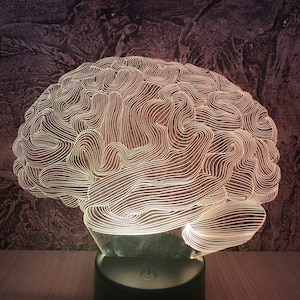 Brain LED Desk Lamp, Color Changing Science Decor, Custom 3D Night Lamps For Doctor, Kids Room Bedside Desk Lamp, Personalized Gift For Him