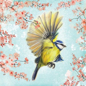 Cinciarella e biglietto in fiore / Biglietto con uccello / Illustrazione di uccello / Fiore di ciliegio / Uccello britannico / Biglietto con arte di uccello / Biglietto vuoto