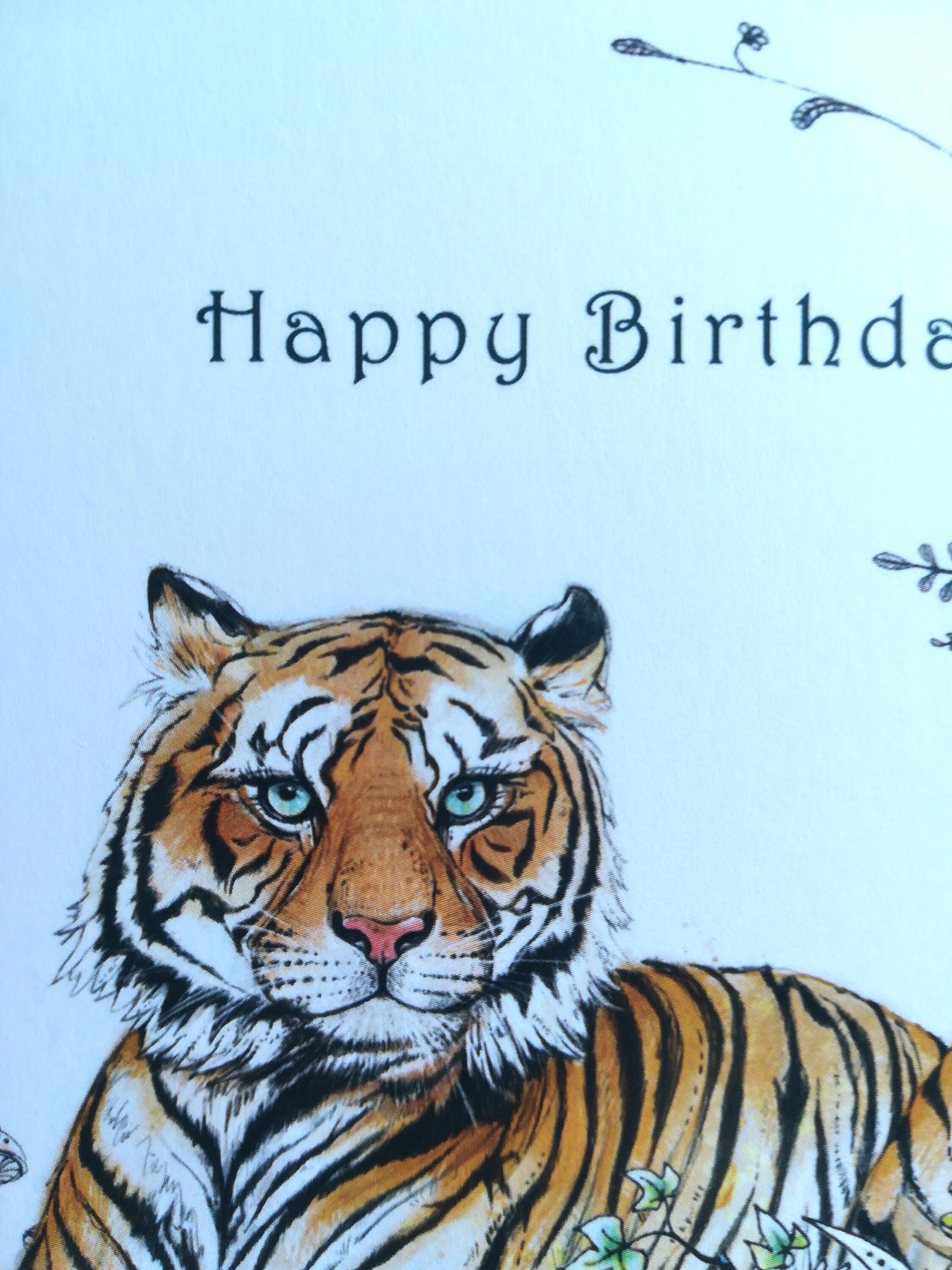 Tiger Geburtstagskarte: Lustige Karte 145x145 Mm Mit Umschlag – Aus Recyceltem Papier, Made In UK