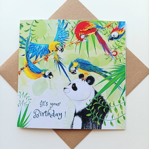 Tarjeta de cumpleaños de panda / Fiesta de pandas y loros / Deseos de cumpleaños de animales / Es tu cumpleaños