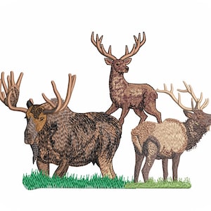 May include: A brown moose, a brown elk, and a brown deer with antlers stand on a green grassy field.