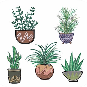 Può includere: Cinque piante in vaso con diversi tipi di verde e vasi decorati. I vasi sono marroni, verdi e blu con motivi bianchi, marroni e blu.