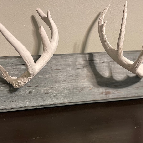 Handmade deer antler jewelry holder