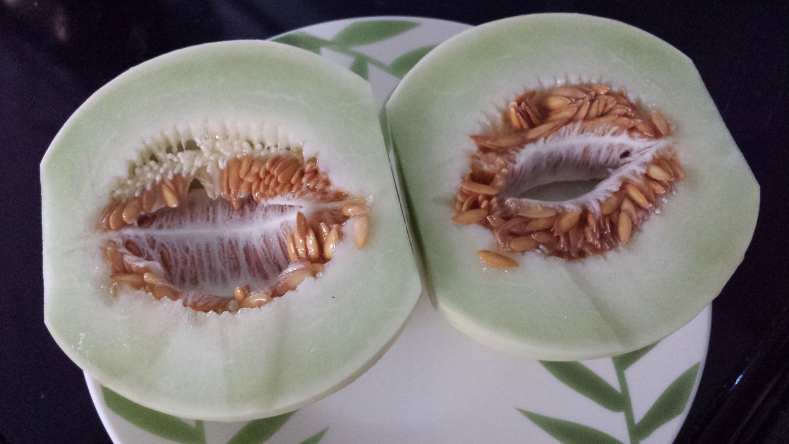 Organic 30 Honey Dew Melon Seeds Etsy