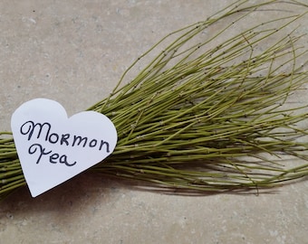 Mormon Tea