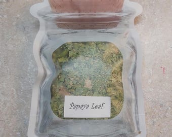 Papaya leaf (Dried) (10gr)
