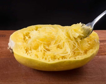 10 Spaghetti Squash seeds
