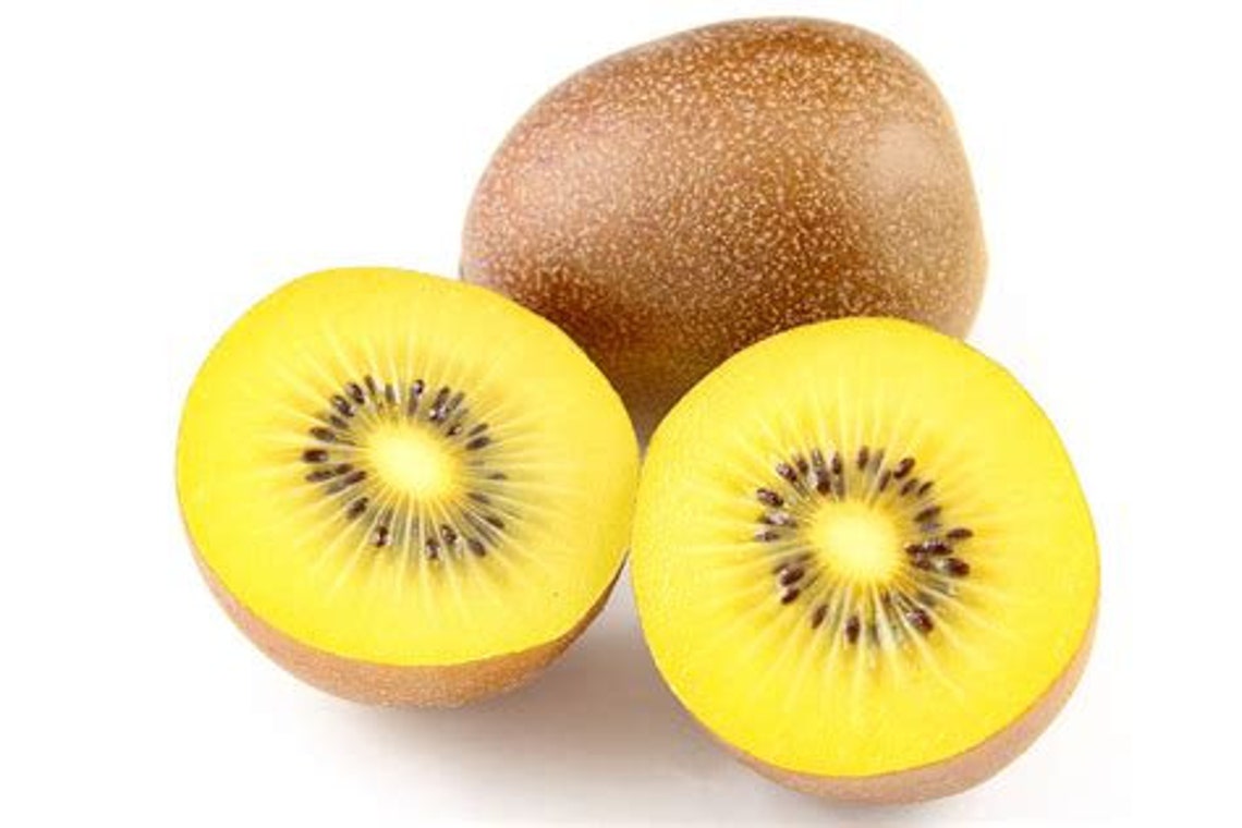 5 Golden Kiwi Seeds | Etsy
