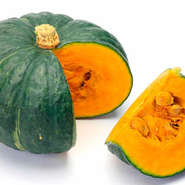 20 Kabocha squash seeds, Japan Pumpkin seeds