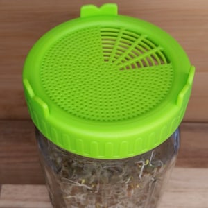 May include: A green plastic sprout lid with a mesh insert for a glass jar. The lid has a textured rim and a small lip on each side.