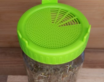 Sprouting Jar lid top No seeds just top