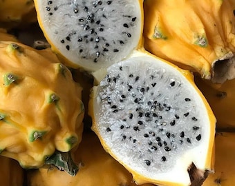 20 Yelow Dragonfruit Seeds