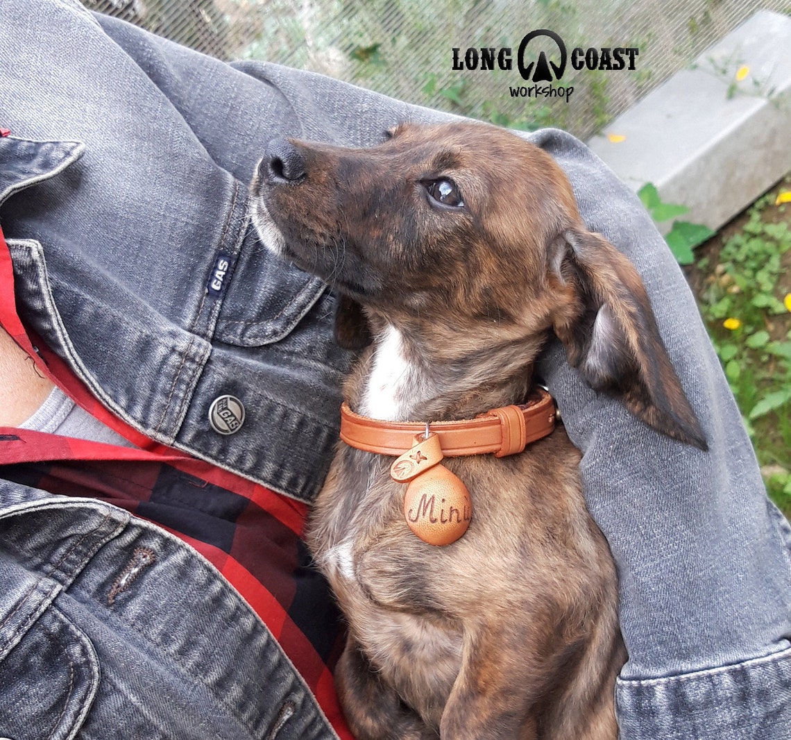 Dog name tags Personalized pet Gifts for pet lover Custom Etsy