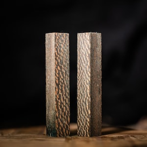 May include: Two rectangular wooden blocks standing upright, featuring a distinct dark brown and tan speckled grain pattern. The wood displays a dense, fibrous texture with vertical lines and small, repeating oval-shaped markings across the surface.