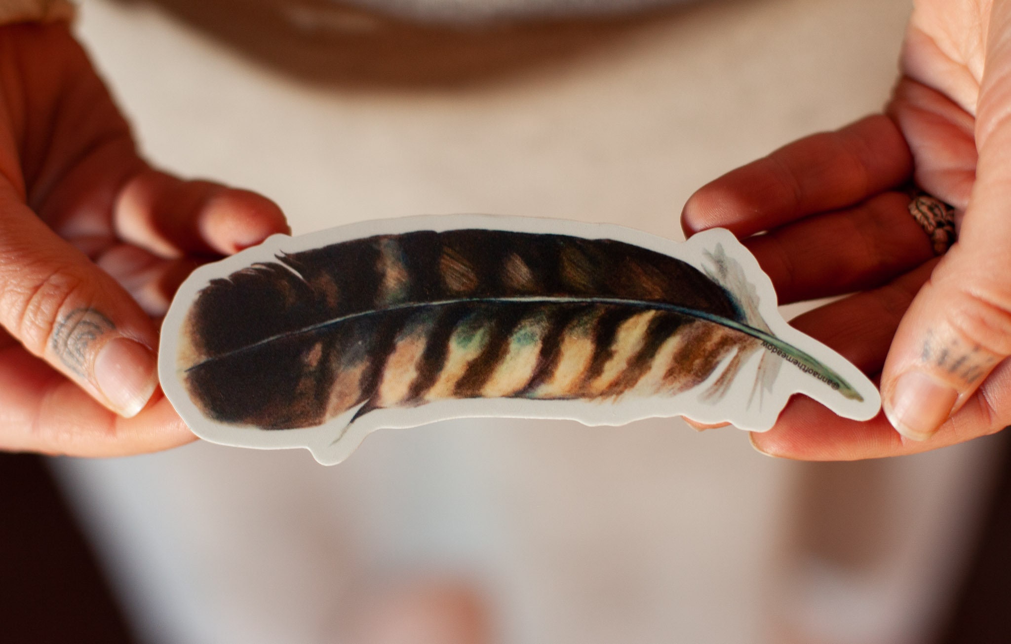 Hawk Wing Feather Vinyl Sticker