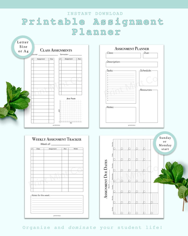 Student Organizer Bundle Perfect Student Planner Printable - Etsy