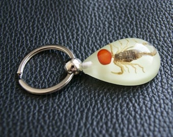 Keychain with a real Scorpion red fluriscent with a stone (6 cm) Zodiac jewelry Resin keychain Dead bugs Protection Witch Best friends gift