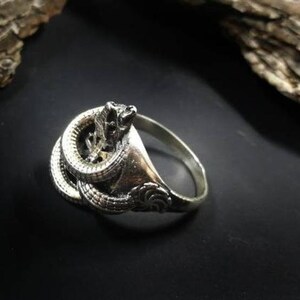 Snake ring, Snake Jewelry, Ouroboros ring, Dragon ring, Animal ring, Celtic ring, Viking ring, Pagan ring, Tribal ring, Viking jewelry