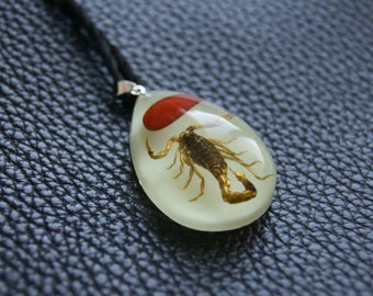 Pendant with a real Scorpion red fluriscent with a stone (3 cm) Bugs Insect Zodiac jewelry Resin necklace Protection Witch Best friends gift